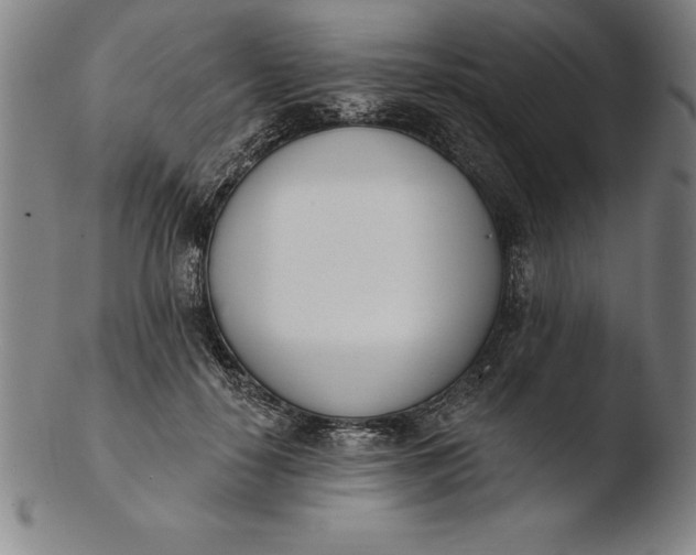 X0000103460650200809261842