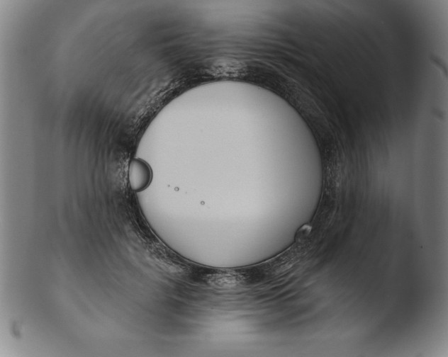 X0000103460652200809261842