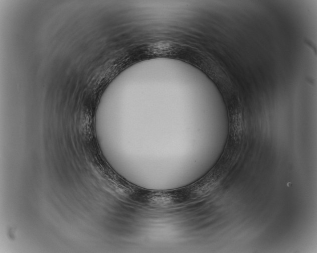 X0000103460653200809261842