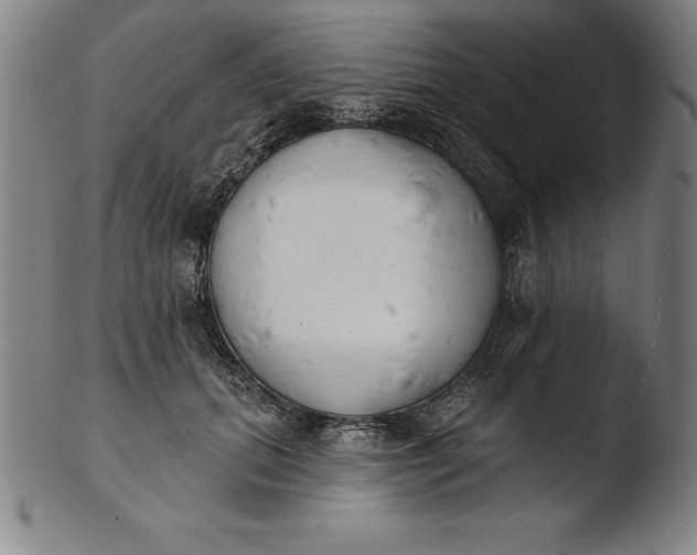 X0000103460655200809261842