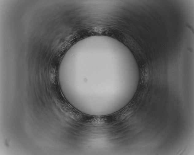 X0000103460656200809261842