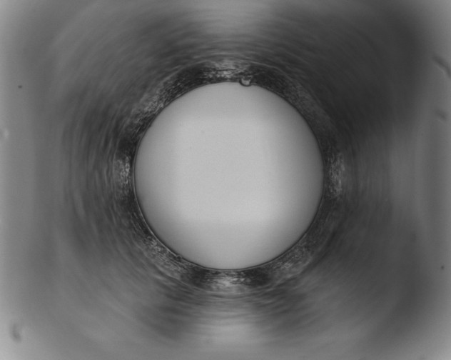 X0000103460657200809261842