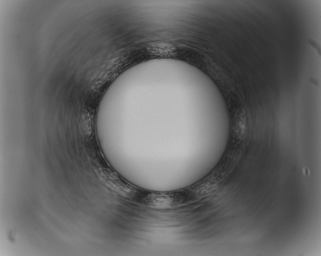 X0000103460658200809261842