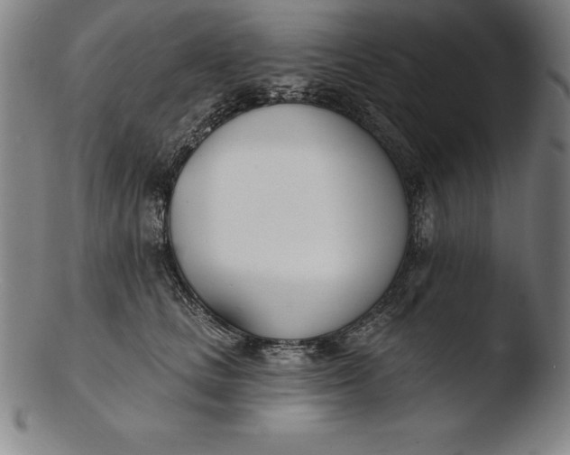 X0000103460661200809261842