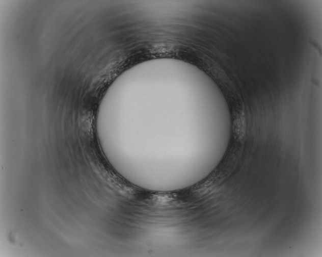 X0000103460662200809261842