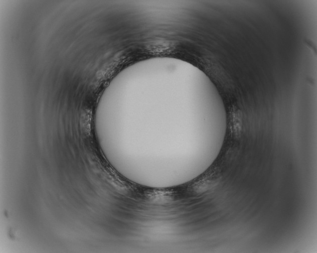 X0000103460664200809261842