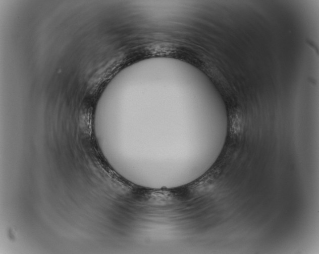 X0000103460666200809261842