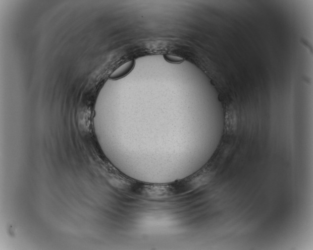 X0000103460671200809261842