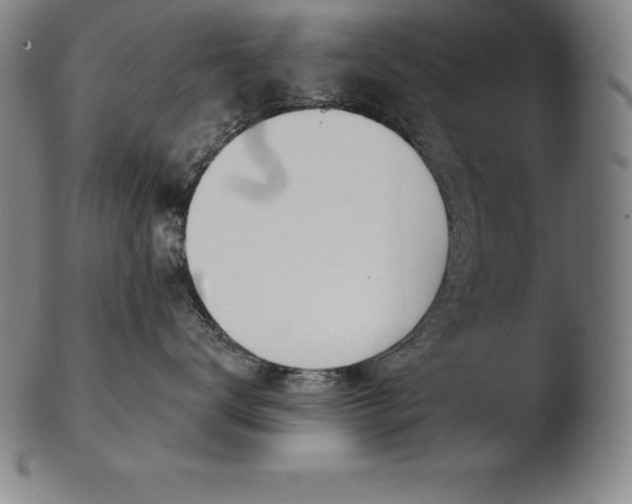 X0000103460672200809261842