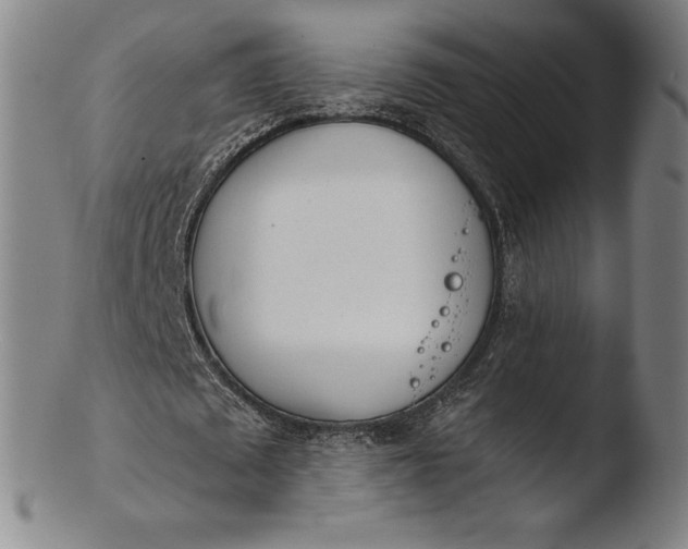 X0000103460673200809261841