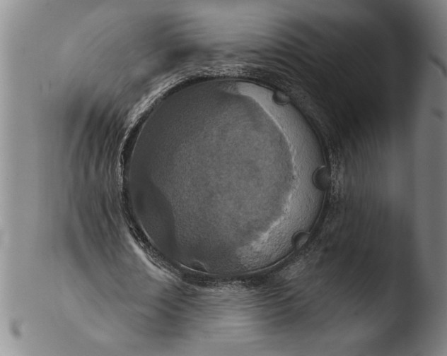 X0000103460674200809261841