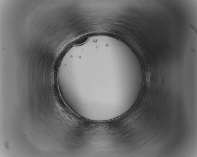 X0000103460676200809261841