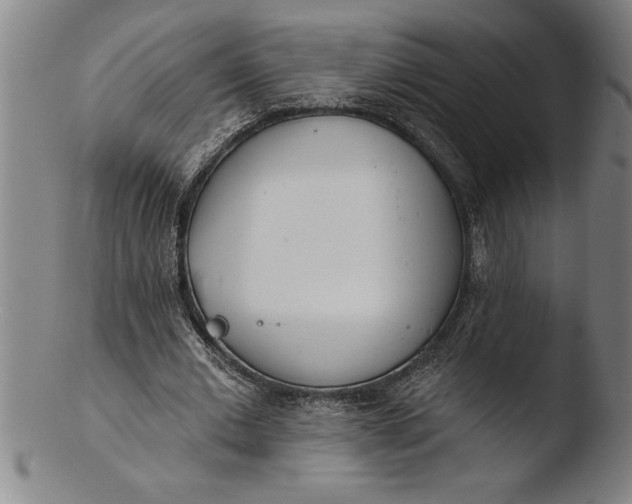 X0000103460677200809261841