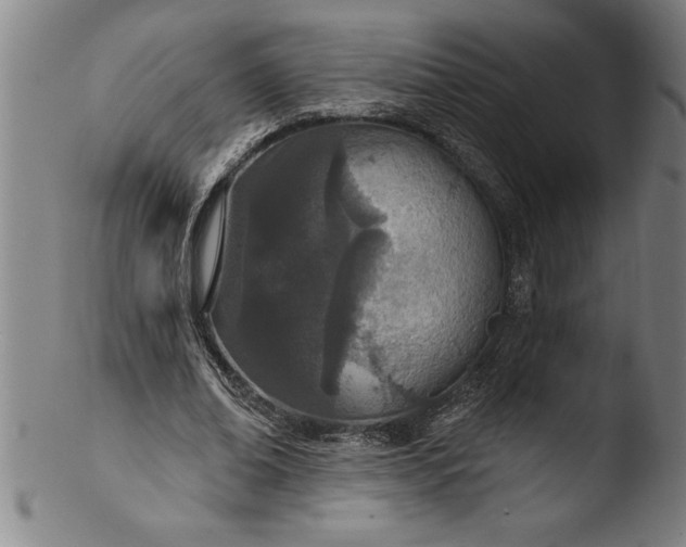 X0000103460678200809261841