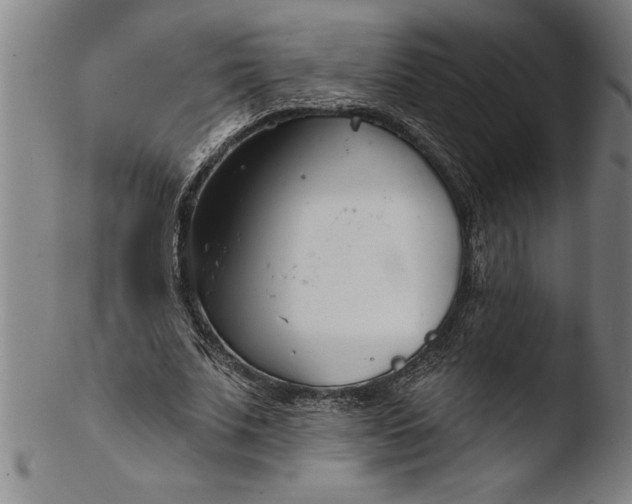 X0000103460679200809261841