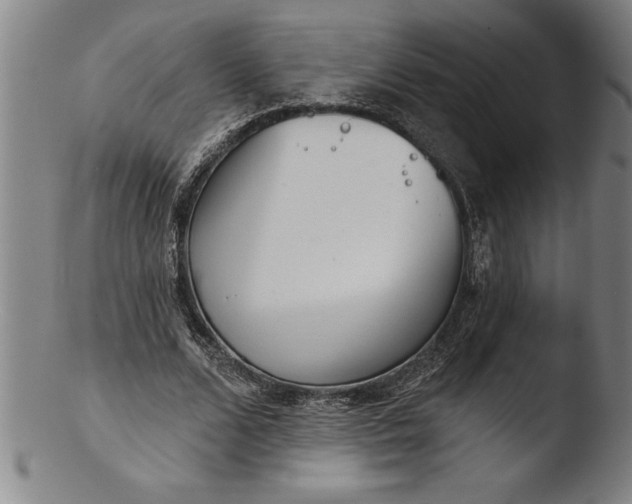 X0000103460680200809261841