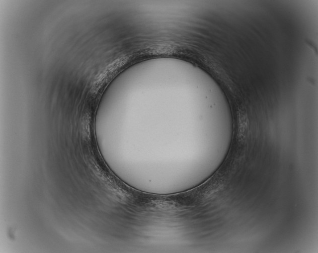 X0000103460681200809261841