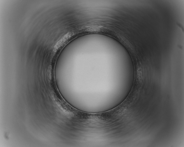 X0000103460682200809261841