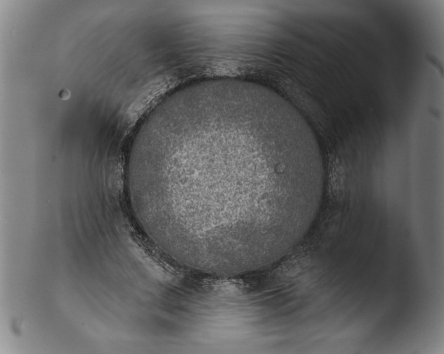 X0000103460683200809261841