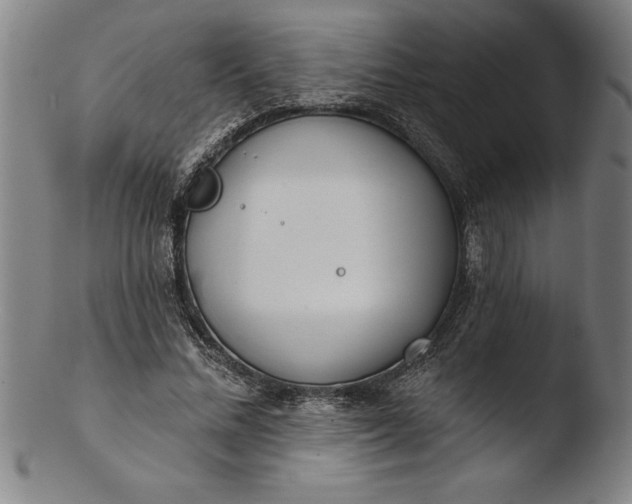 X0000103460684200809261841