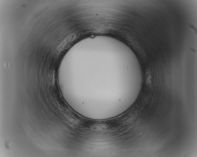 X0000103460685200809261841