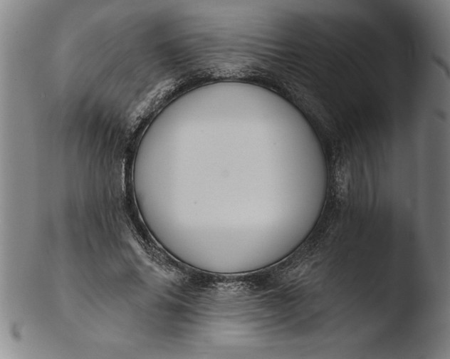 X0000103460686200809261841