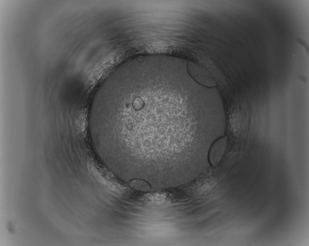 X0000103460687200809261841