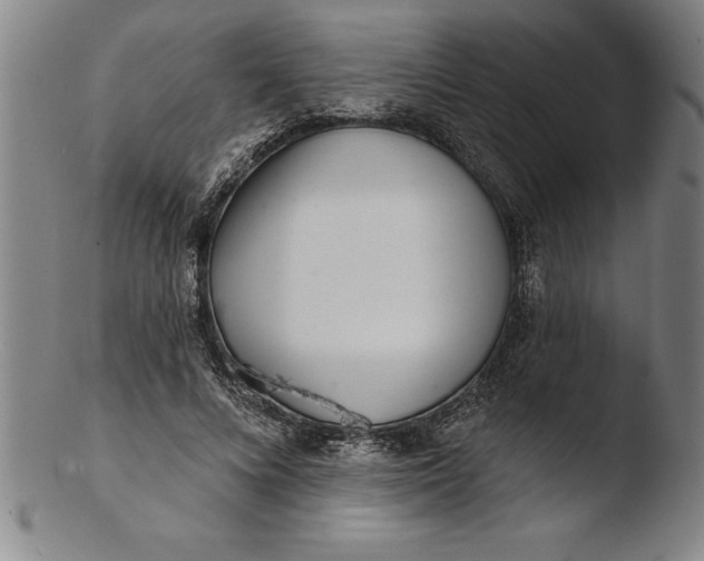 X0000103460688200809261841