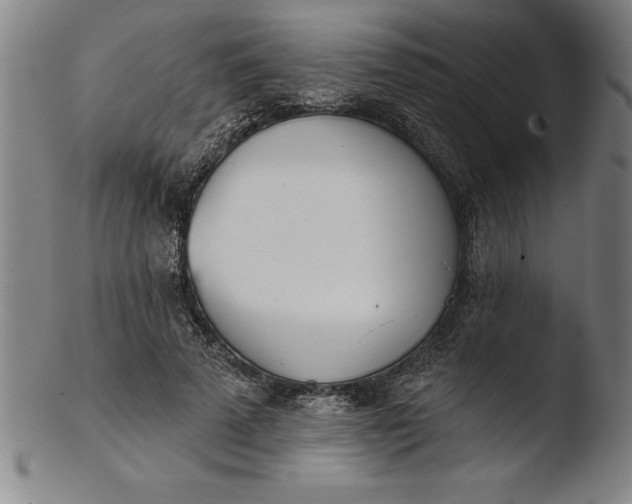 X0000103460689200809261841