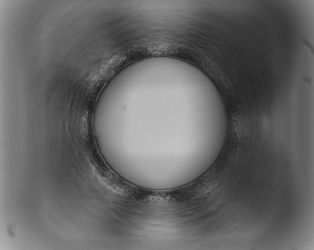 X0000103460690200809261841