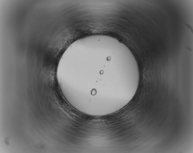 X0000103460691200809261841