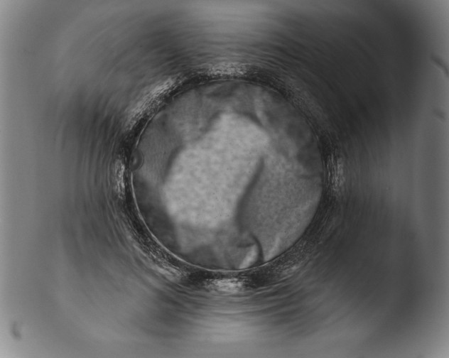 X0000103460692200809261841