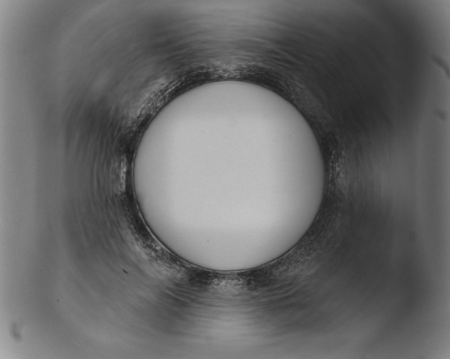 X0000103460694200809261841