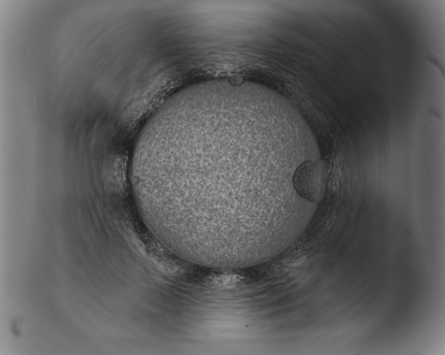 X0000103460695200809261841