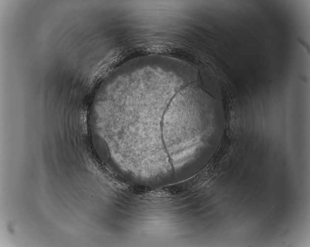 X0000103460696200809261841