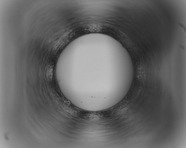 X0000103460697200809261841