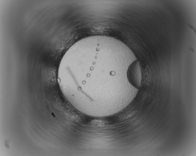 X0000103460699200809261841