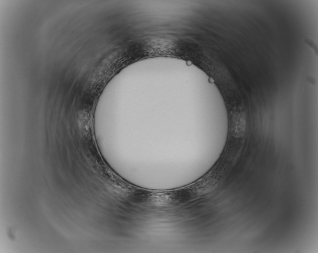 X0000103460701200809261841