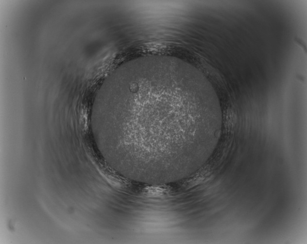 X0000103460703200809261841