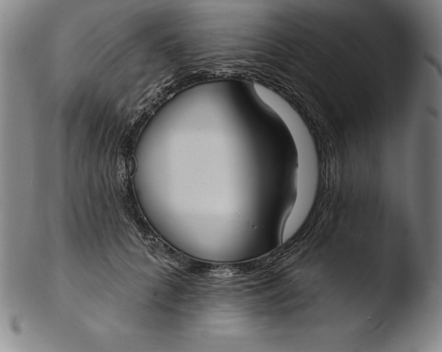 X0000103460704200809261841