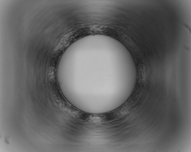 X0000103460706200809261841