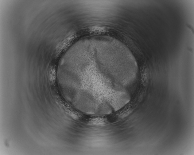 X0000103460708200809261841