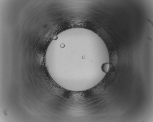 X0000103460709200809261841