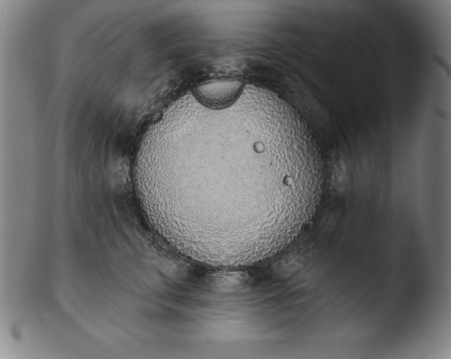 X0000103460711200809261841