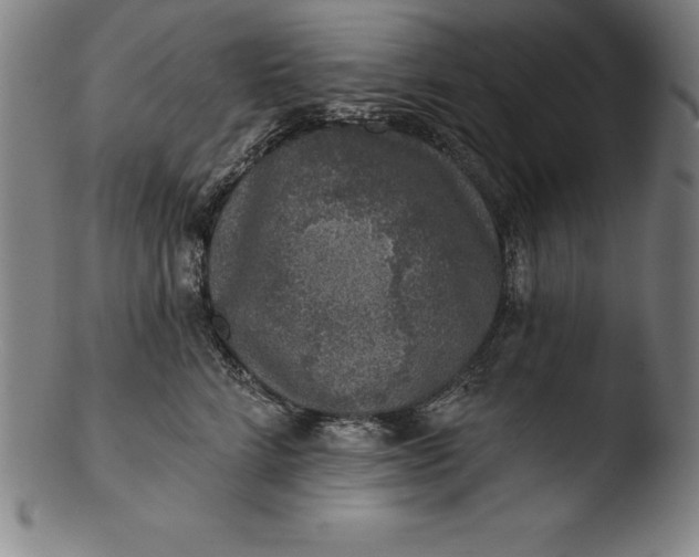 X0000103460712200809261841