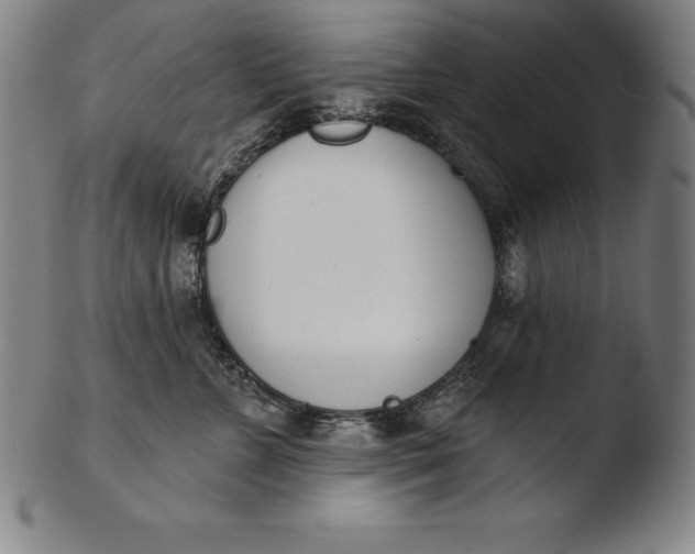 X0000103460715200809261841