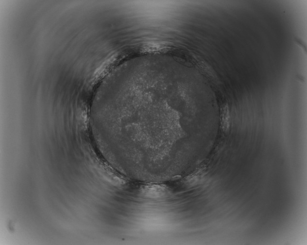 X0000103460716200809261841