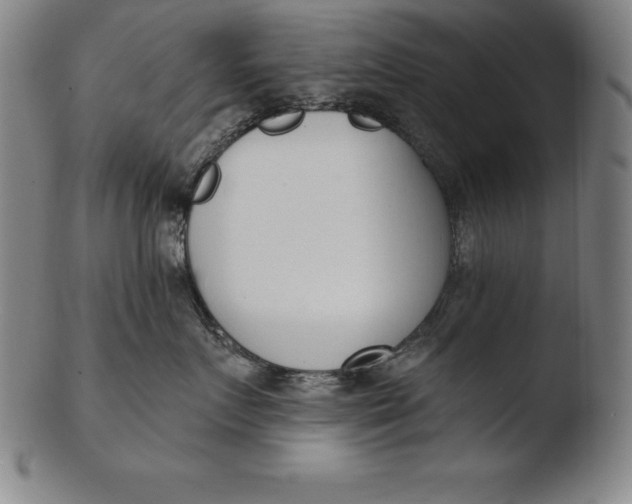 X0000103460719200809261841