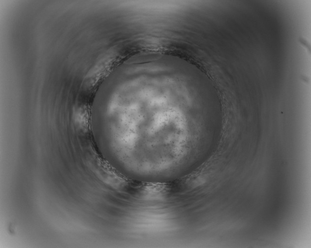 X0000103460720200809261841