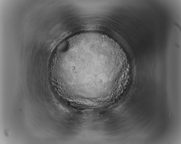 X0000103460721200809261840